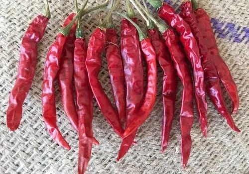 Red Chilli Supplier Exporter in Canada