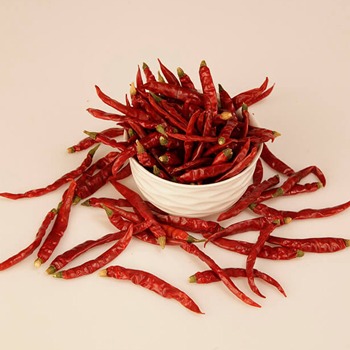 Teja S17 Red Chilli manufacturer & supplier in India.