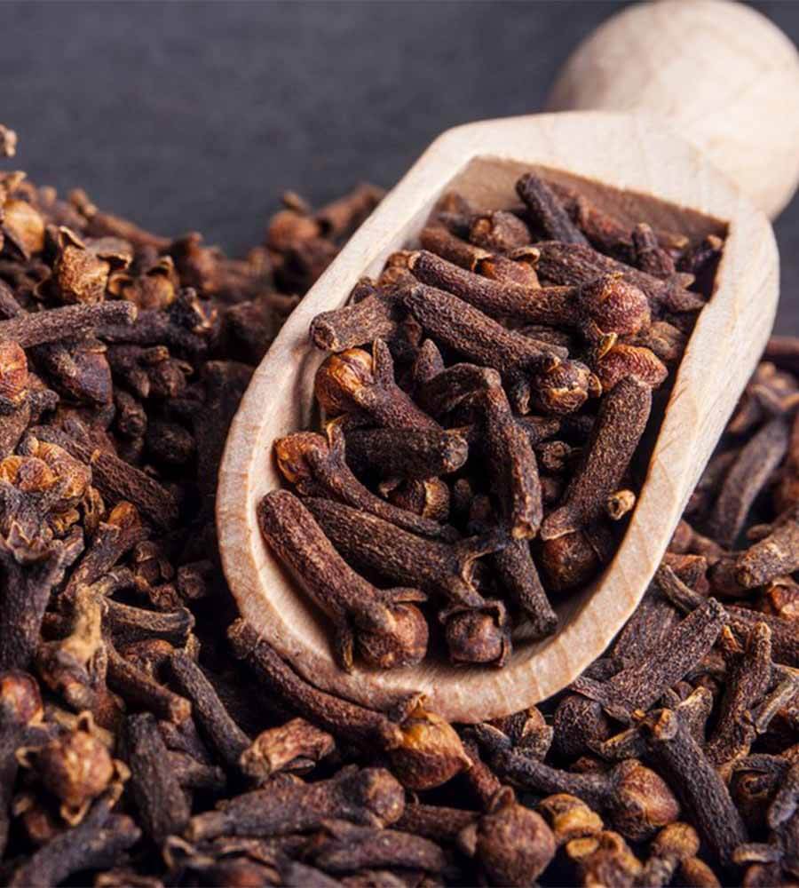 ceylon clove 1