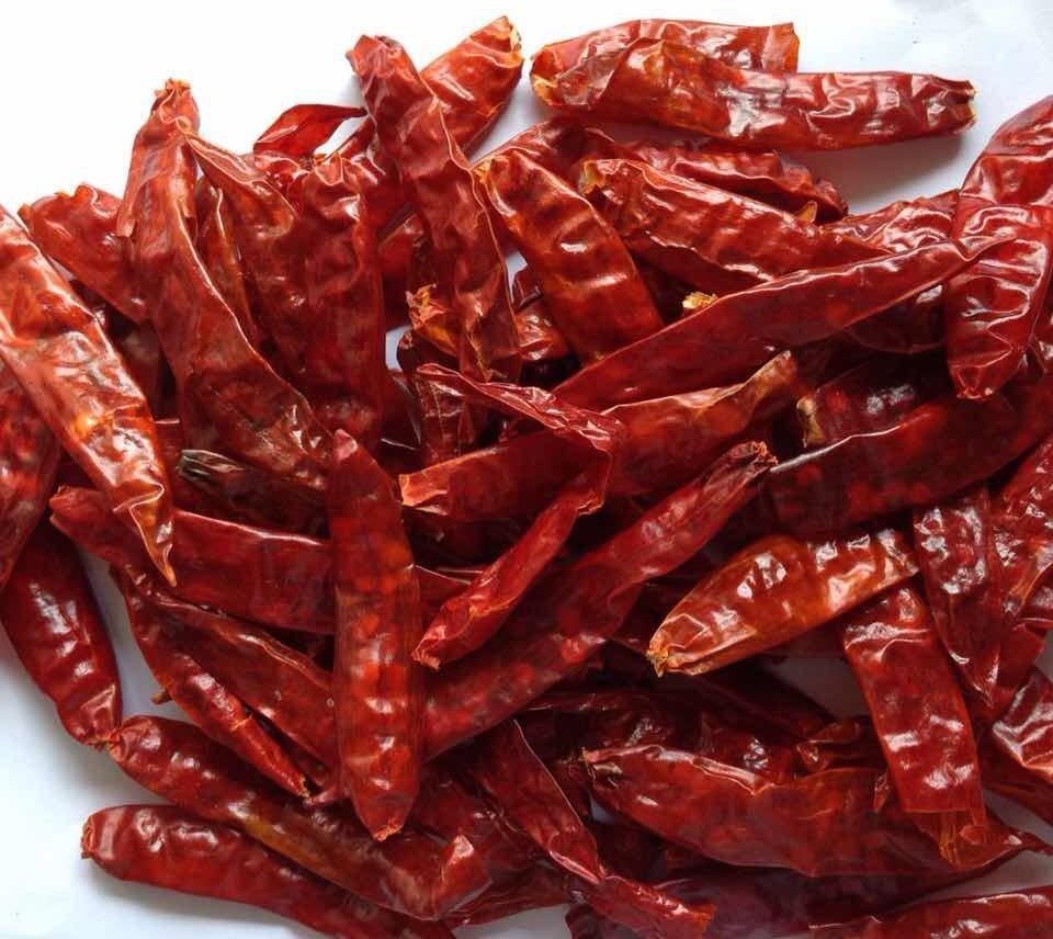 dd red c