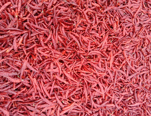 dry red chillies