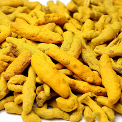 turmeric finger turmeric finger